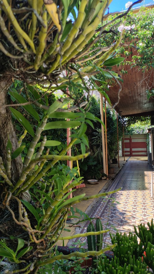 Venta Hermosa casa 3 ambientes con gran parque y cochera pasante en Bernal