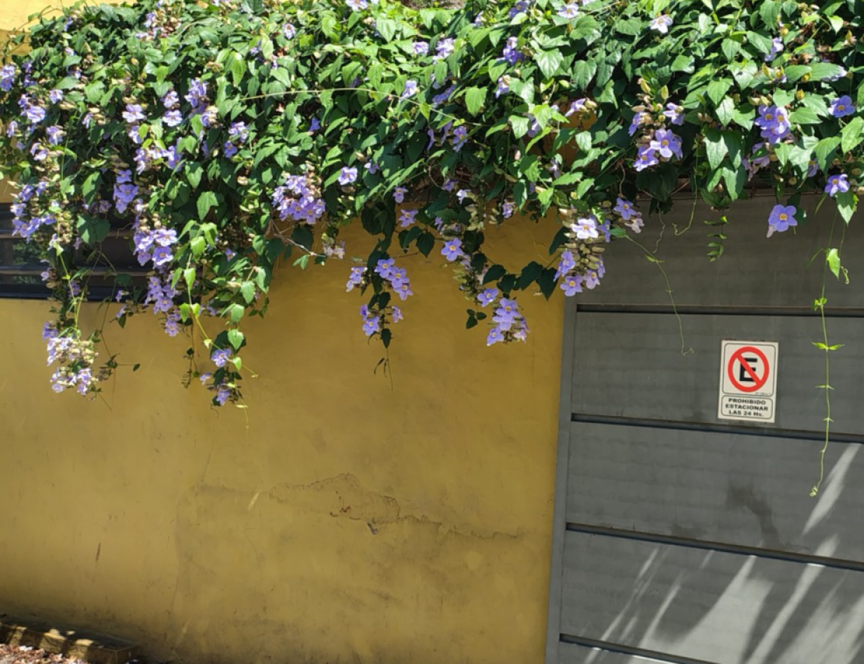 Venta Hermosa casa 3 ambientes con gran parque y cochera pasante en Bernal
